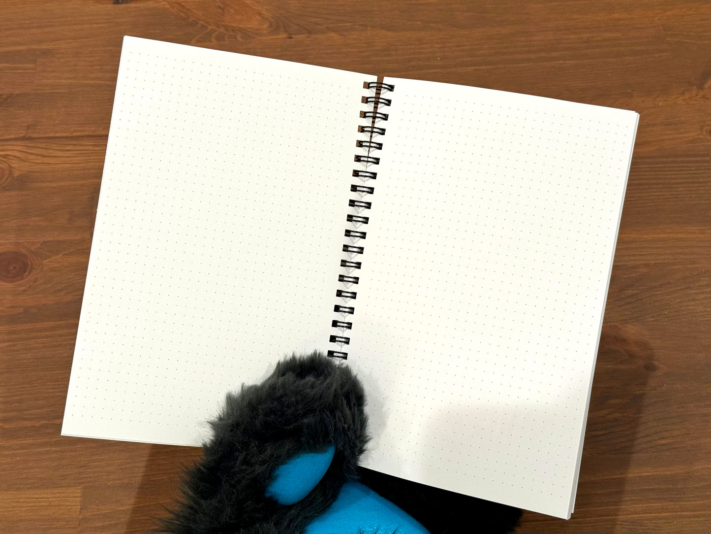 My Shitty Sketchbook